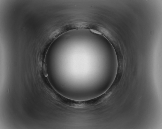 X0000085290309200703091415