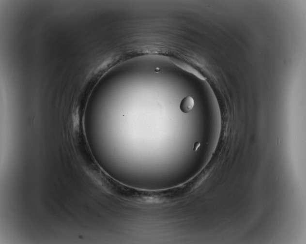 X0000085290310200703091415