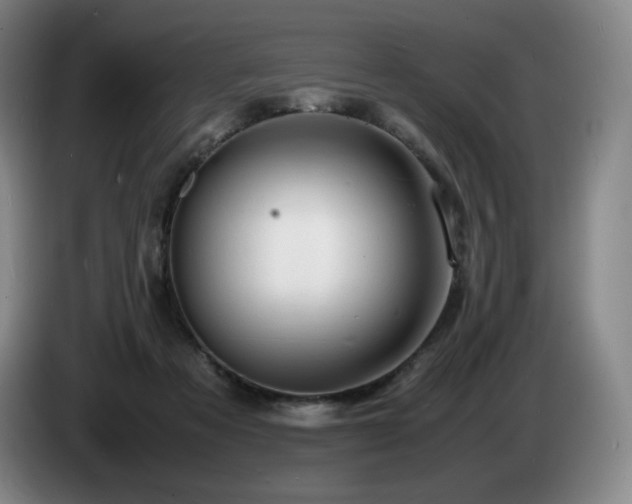 X0000085290313200703091415