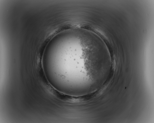 X0000085290314200703091415