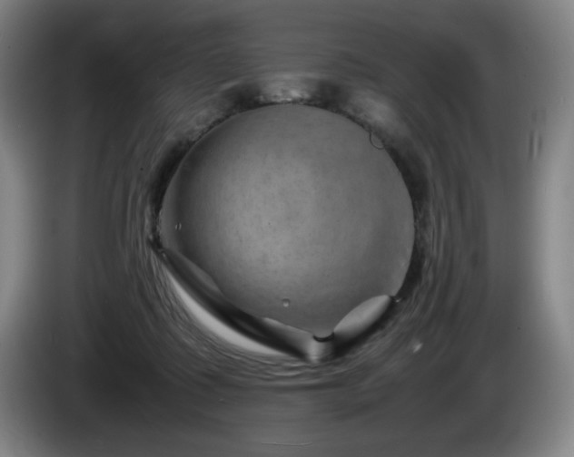 X0000085290315200703091415