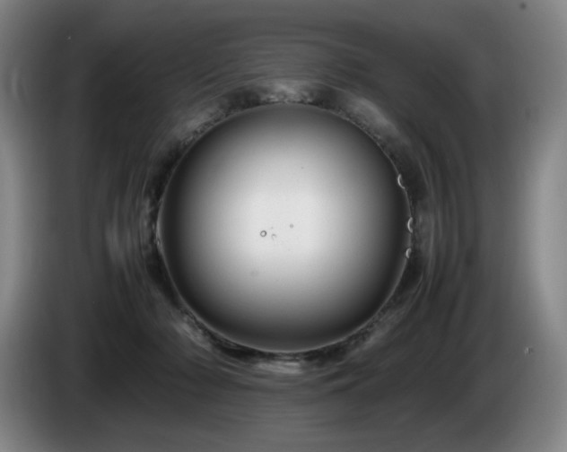 X0000085290318200703091415