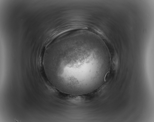X0000085290330200703091415