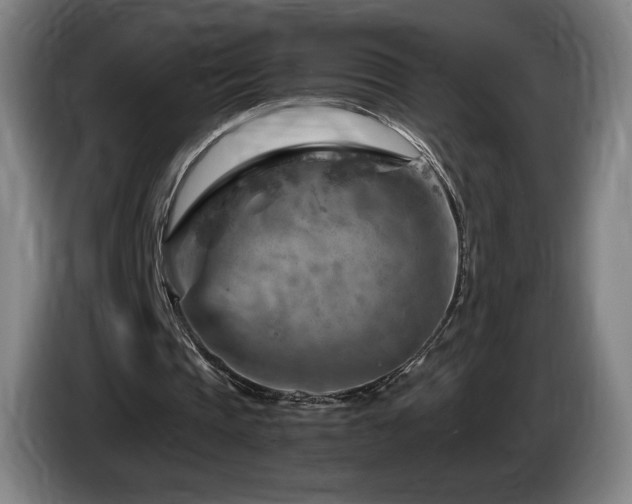 X0000085290337200703091414