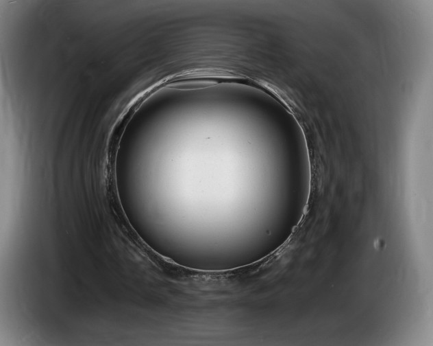 X0000085290338200703091414