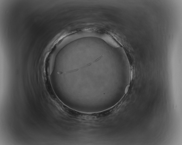 X0000085290339200703091414