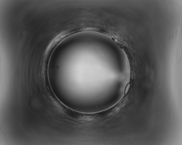 X0000085290341200703091414