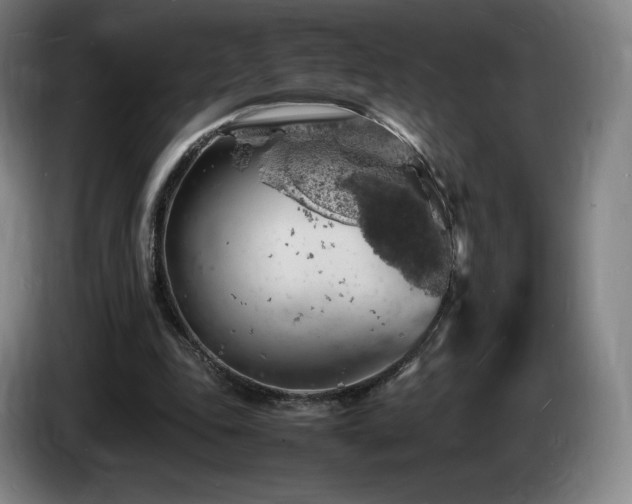 X0000085290343200703091415