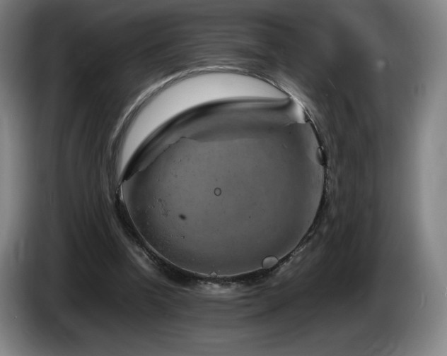 X0000085290346200703091415