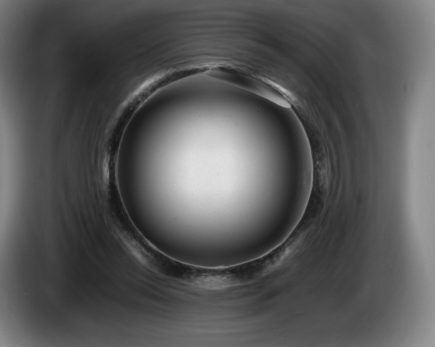 X0000085290350200703091415