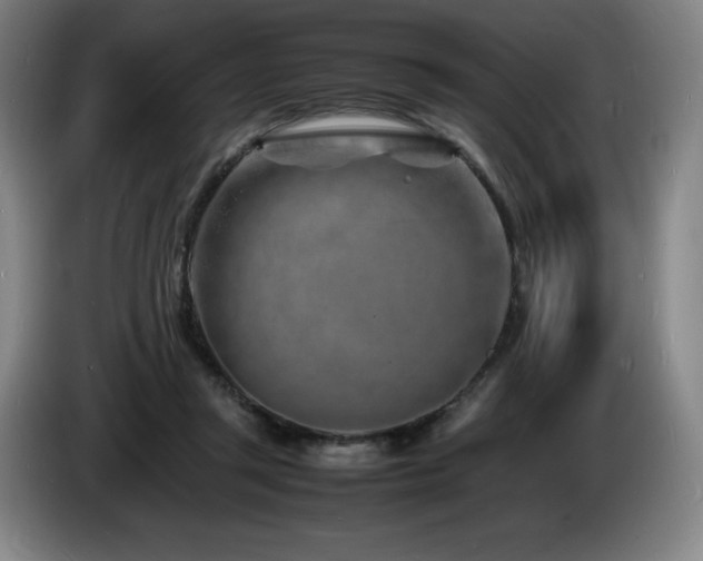 X0000085290357200703091415