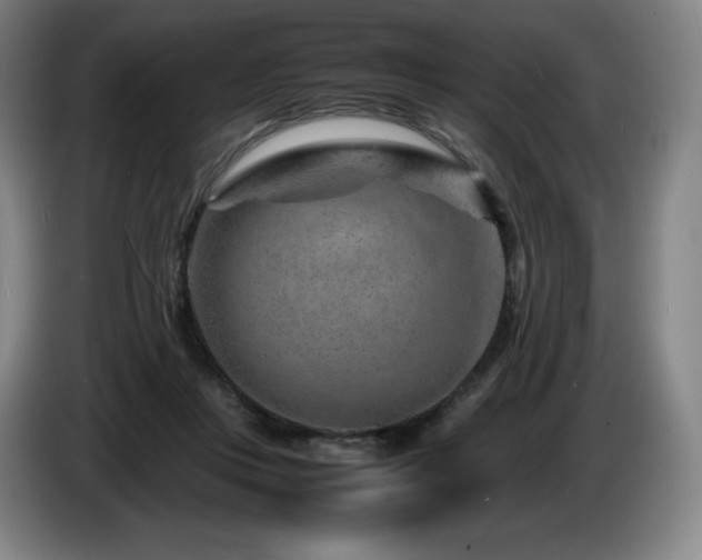 X0000085290359200703091415