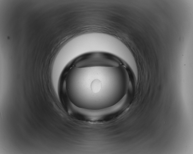 X0000085290360200703091415