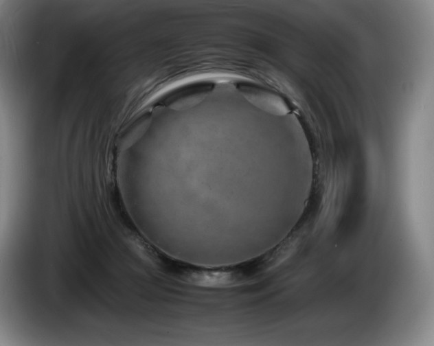 X0000085290361200703091415