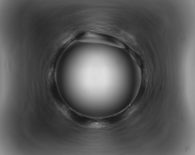 X0000085290364200703091415