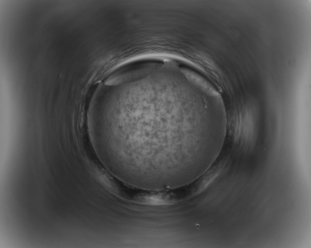 X0000085290365200703091415