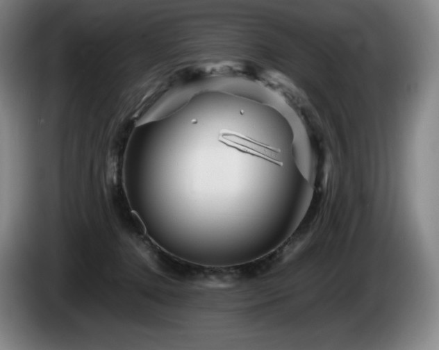 X0000085290368200703091415