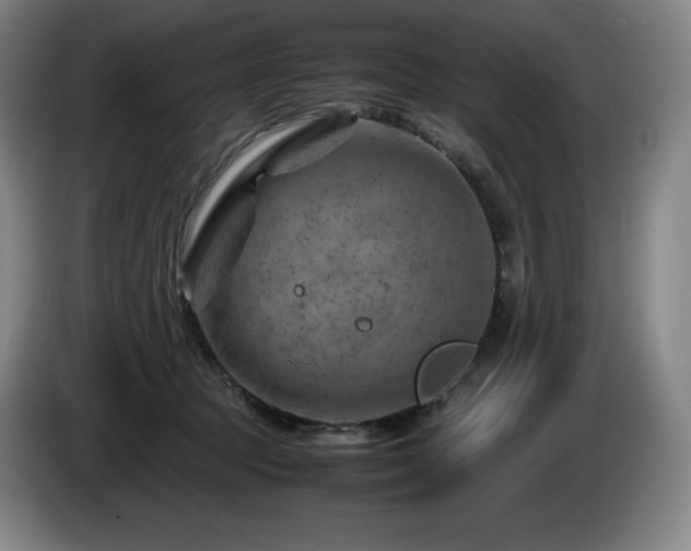 X0000085290369200703091415