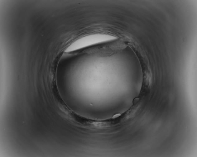 X0000085290371200703091415
