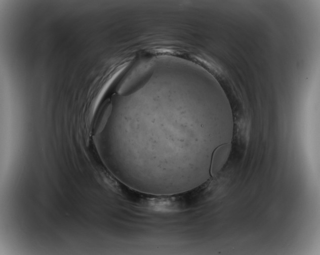 X0000085290373200703091415