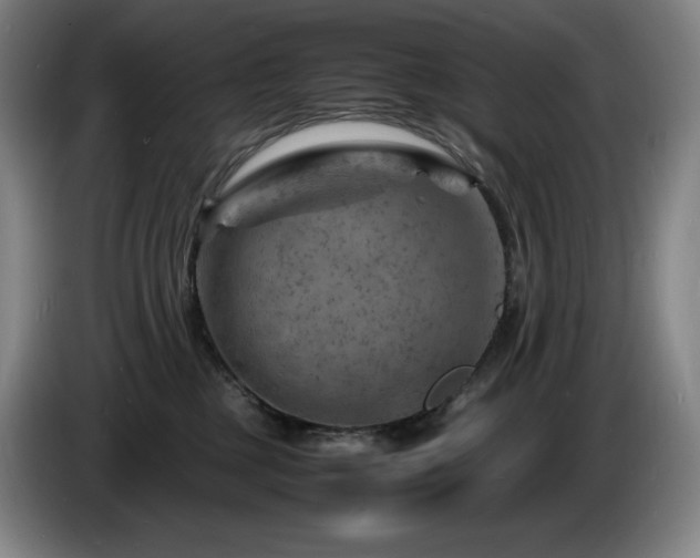 X0000085290377200703091415