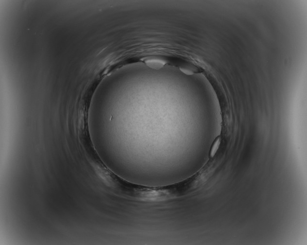 X0000085290379200703091415