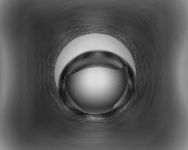 X0000085290380200703091415