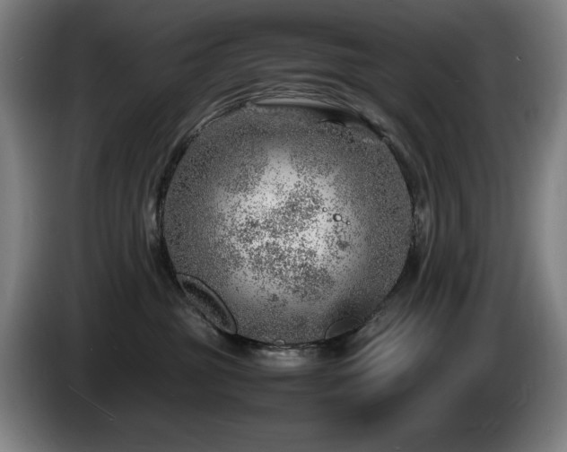 X0000085290381200703091415
