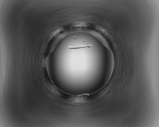 X0000085290384200703091415