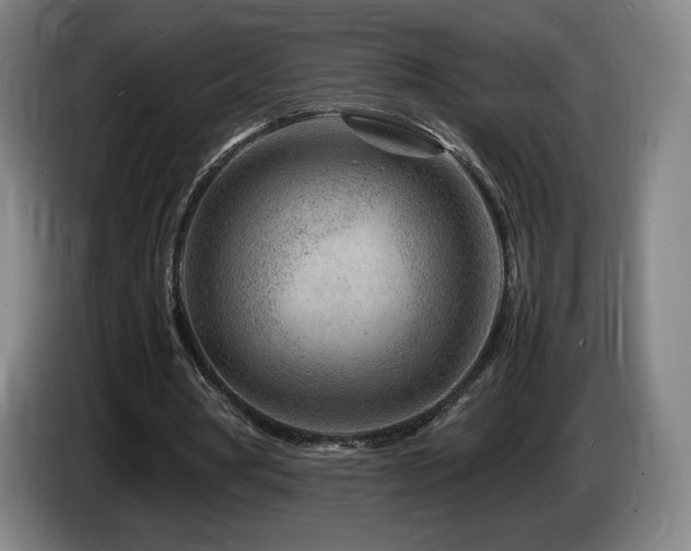 X0000085290386200703091414