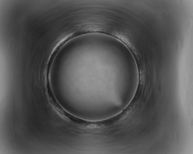 X0000085290390200703091414