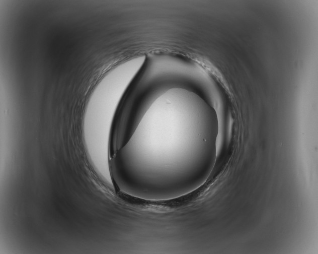 X0000085290393200703091414
