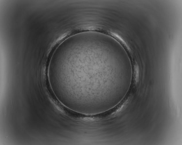 X0000085290394200703091414