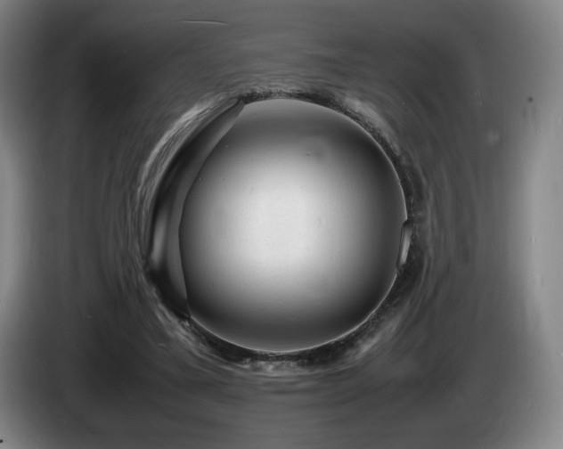 X0000085290395200703091414