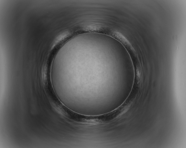 X0000085290396200703091414