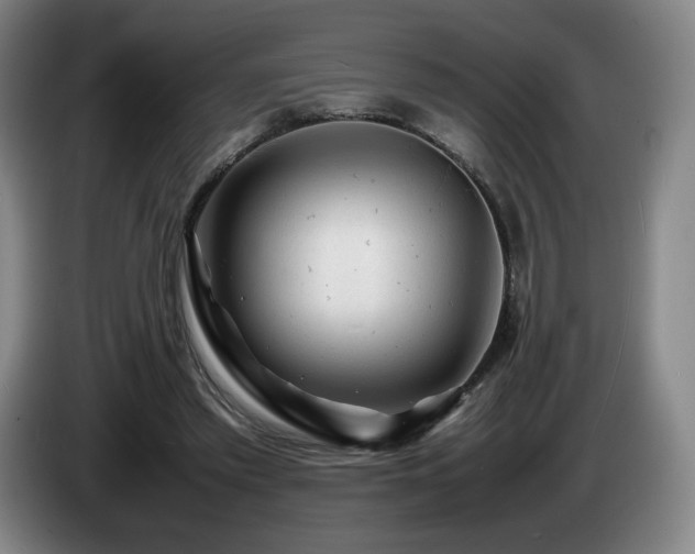 X0000085290397200703091414