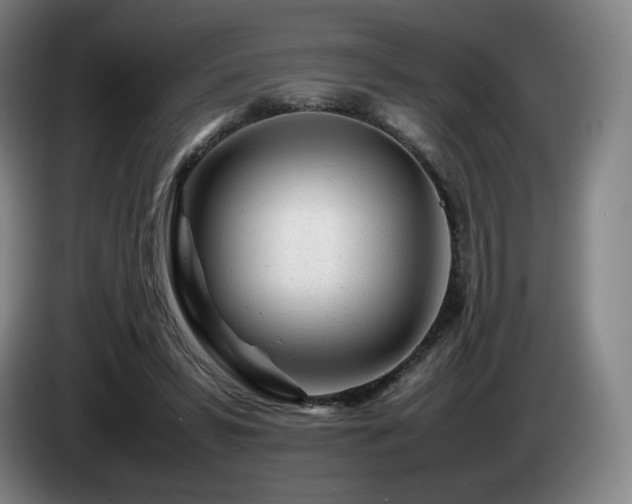 X0000085290399200703091414