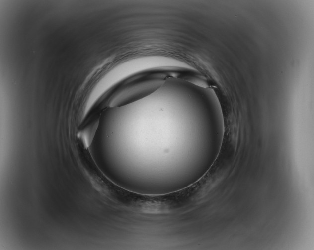 X0000085290400200703091414