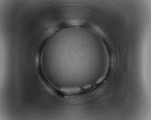 X0000085290406200703091414