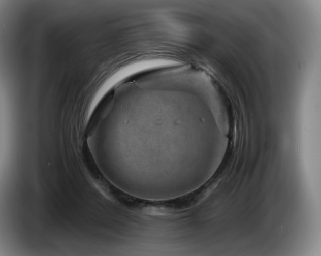 X0000085290408200703091414