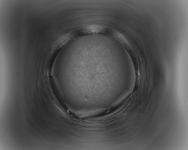 X0000085290410200703091414