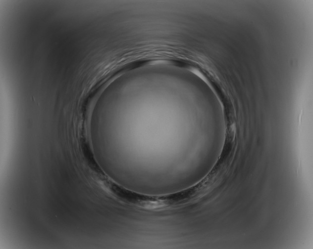 X0000085290411200703091414