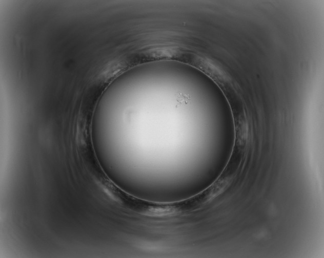 X0000085290414200703091414