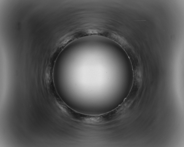 X0000085290422200703091414