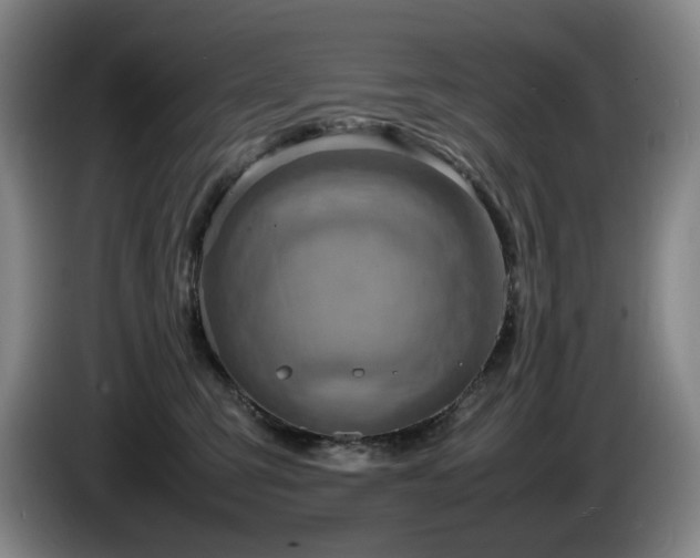 X0000085290423200703091414
