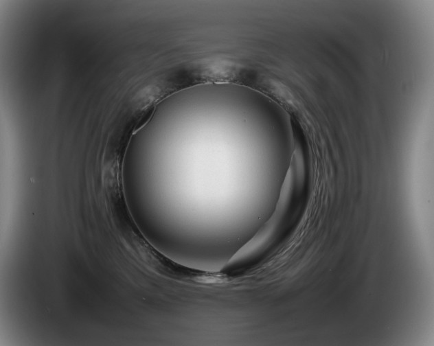 X0000085290425200703091414