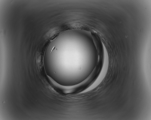 X0000085290428200703091414