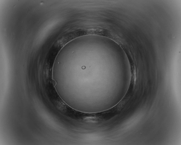 X0000085290430200703091414
