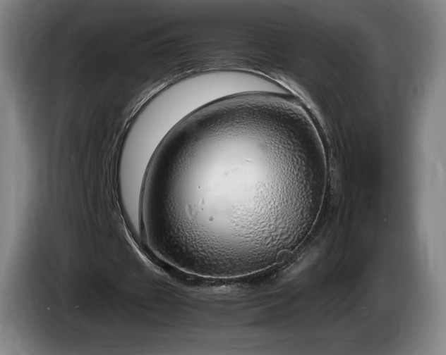 X0000085290433200703091413