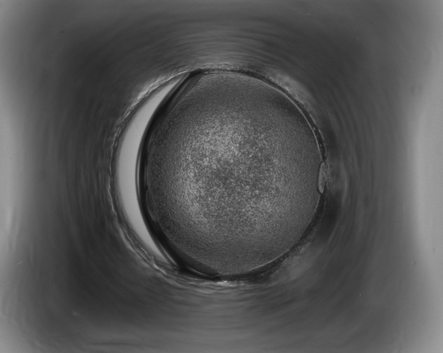 X0000085290434200703091413